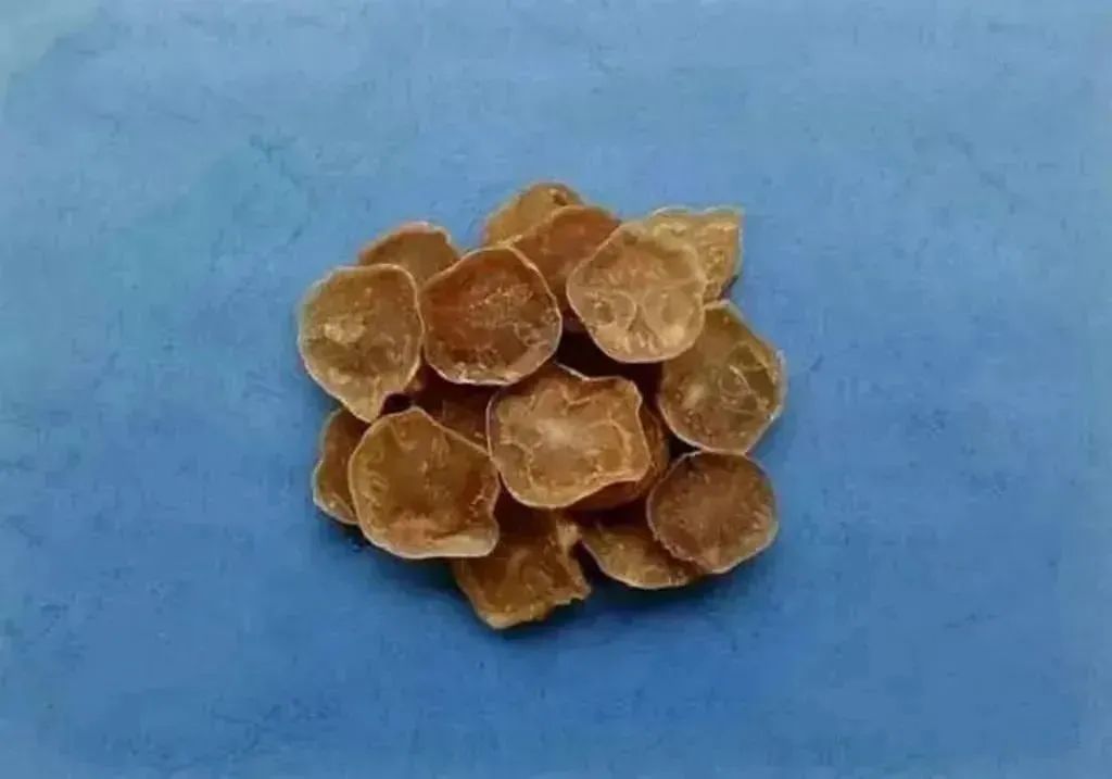 Understanding the Types of Fuzi (Aconite)