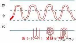 Summary of Pulse Diagnosis in Traditional Chinese Medicine