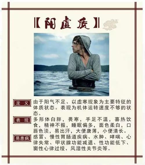 The Nine Major Constitutions in Traditional Chinese Medicine: Which One Are You?