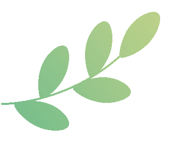 Common Qi-Boosting Herbs in Traditional Chinese Medicine (Part 2)