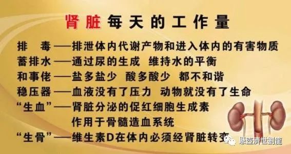 Understanding Yin Deficiency Syndrome: Heart, Lung, Liver, and Kidney Yin Deficiency