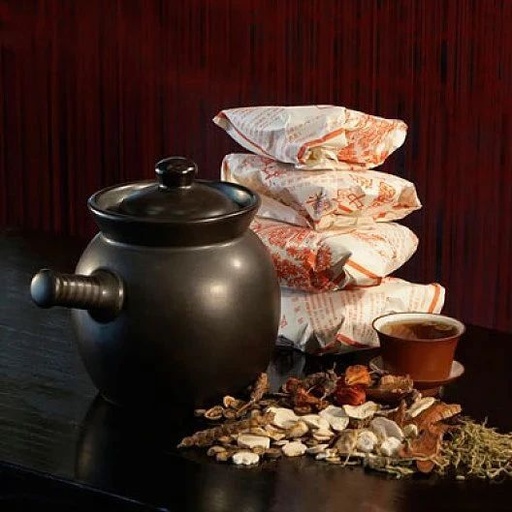 Understanding the Six Excesses: Heat, Dampness, Dryness, and Fire in TCM