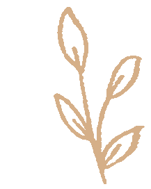 Qi Deficiency Constitution: Selection of Ginseng Varieties for Insufficient Zhongqi, Yuanqi, and Heart Qi
