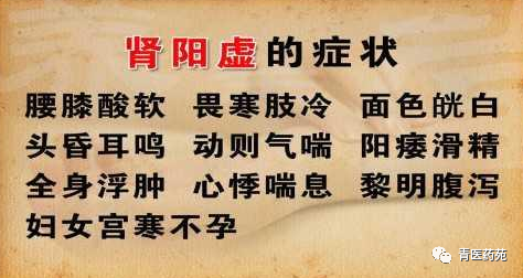 Definition, Symptoms, Treatment Principles, and Basic Formulas for Kidney Yang Deficiency