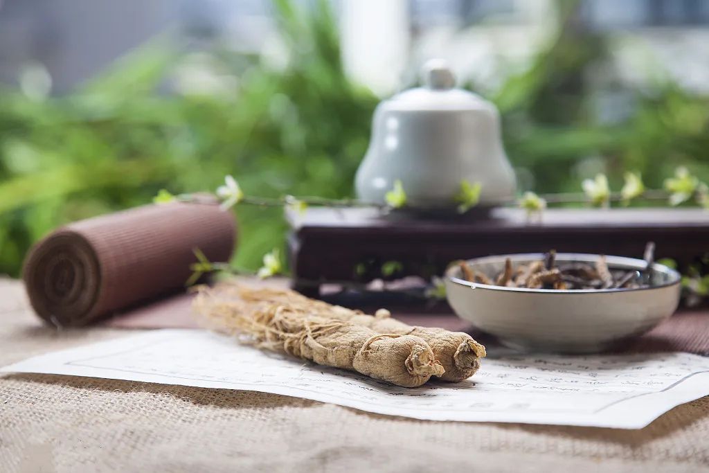 Understanding Chinese Medicinal Herbs: Can Dang Shen Replace Ren Shen?