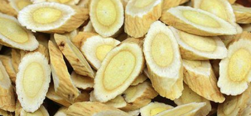 Clinical Applications of Astragalus (Huang Qi)