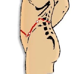 Four Vital Meridians for Women: Ren Mai, Du Mai, Chong Mai, and Dai Mai Must Be Unblocked!