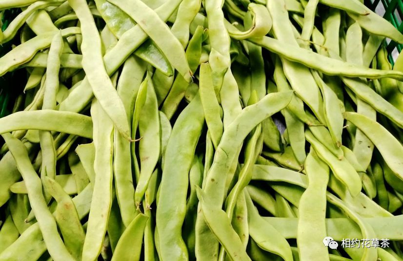 Health Benefits of Various Beans in Traditional Chinese Medicine (Part 2)