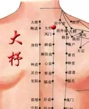 47 Unique Acupuncture Points Worth Seeing! (Collector's Edition)
