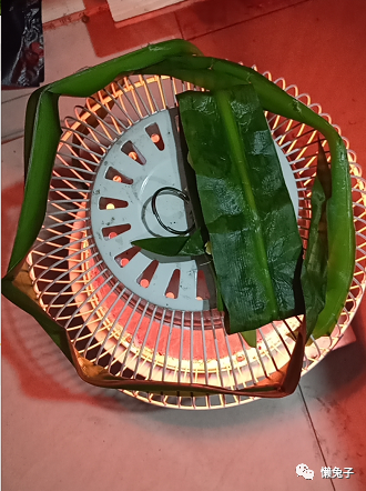 Case Study: The Miraculous Herb for Treating Ankle Sprains