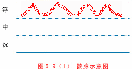 Illustrated Guide to 28 Dynamic Pulse Diagnoses in Traditional Chinese Medicine