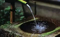 The Essence of Health Preservation in Traditional Chinese Medicine