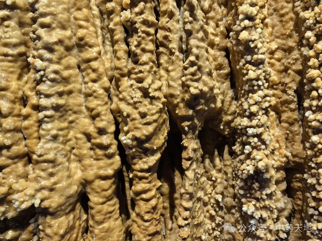 Stalactite in Traditional Chinese Medicine
