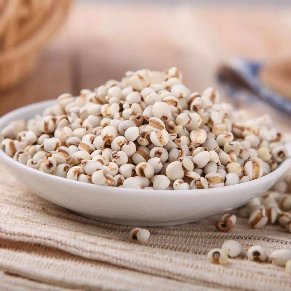 Understanding Coix Seed: A Minute Overview of Its Benefits in Traditional Chinese Medicine