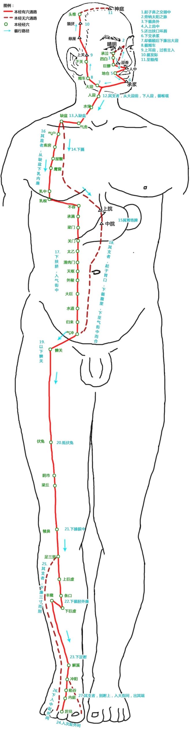 The Pathways of the Twelve Meridians and Acupuncture Points (Answer Version)