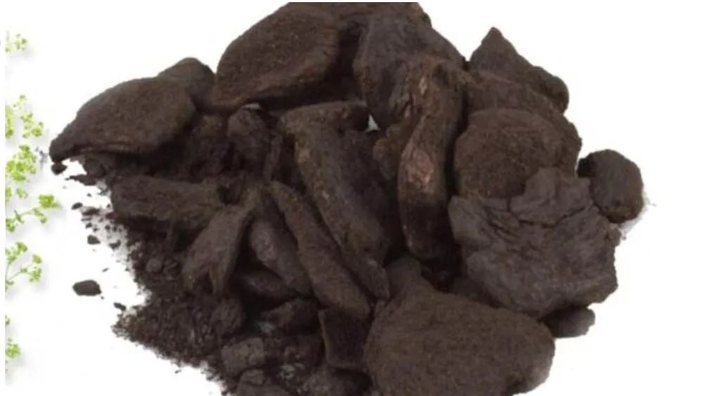 The Differences in Efficacy Among Various Types of Ginger: Fresh Ginger, Dried Ginger, Processed Ginger, Ginger Charcoal, and Galangal