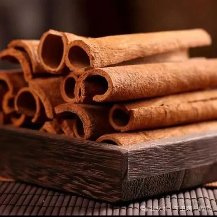 Exploring Cinnamon: Understanding Its Varieties and Uses in TCM
