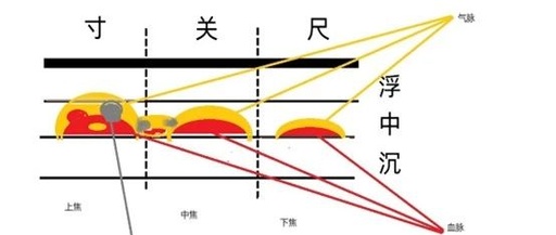 Understanding the Slippery Pulse in Traditional Chinese Medicine