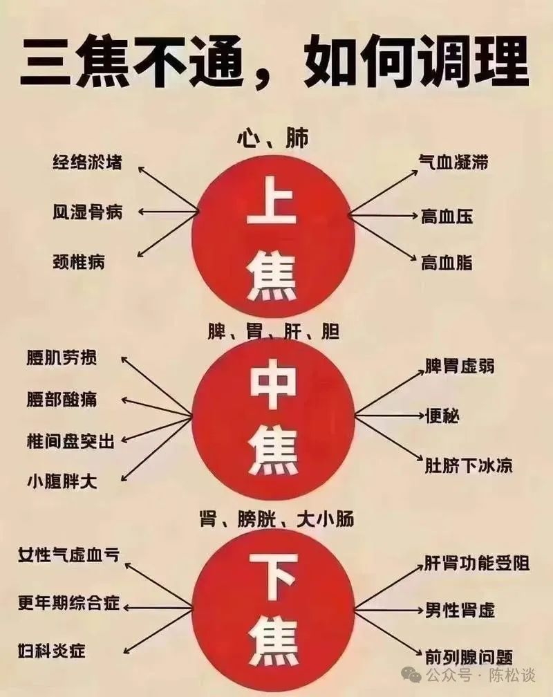 Three Cups of Poria Water: Unblocking the San Jiao for Easy Weight Loss of 15 Pounds