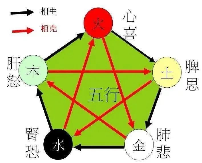 The Relationship Between the Five Elements and the Human Body