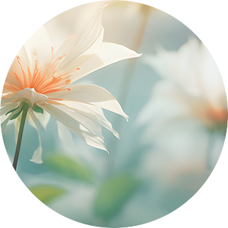Understanding Yin Deficiency and Excess Heat in Traditional Chinese Medicine