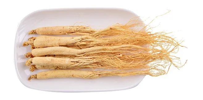 How to Cultivate Ginseng?