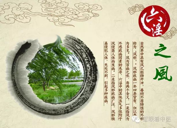 The Six Excesses and Their Syndromes in Traditional Chinese Medicine