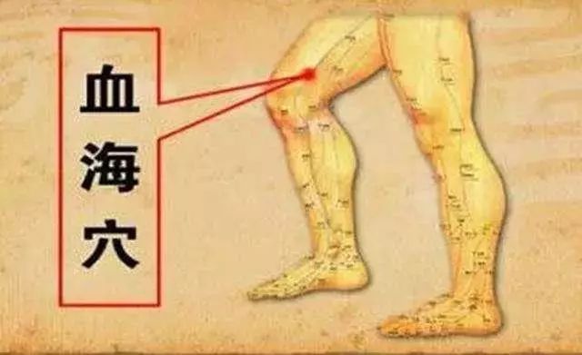 Comprehensive Guide to 35 Common Acupuncture Points: Locations and Effects with Detailed Diagrams