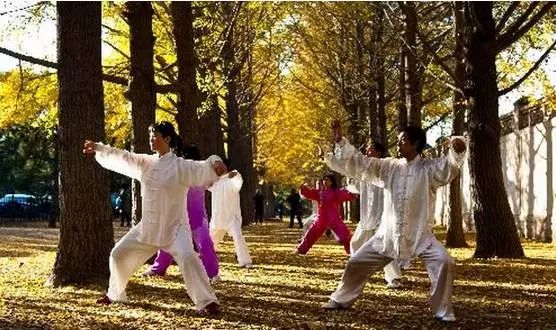 Practicing Tai Chi Together: The Best Fate in Life