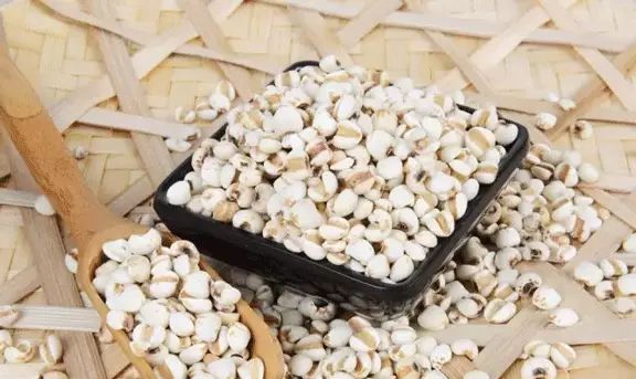The Marvelous Benefits of Coix Seed (Yi Yi Ren)