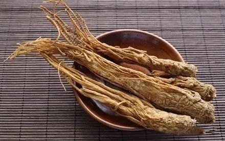 Understanding the Three Parts of Angelica: The 'Blood Nourishing Herb' and Its Proper Use