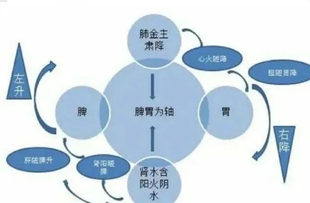 Understanding Cold Conditions in the Heart, Liver, and Kidneys in Traditional Chinese Medicine
