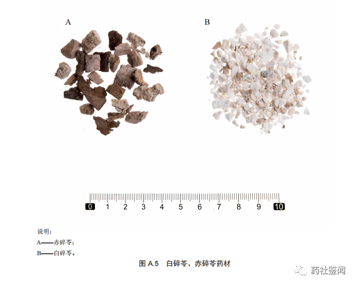 Poria (Fuling) - A Comprehensive Overview