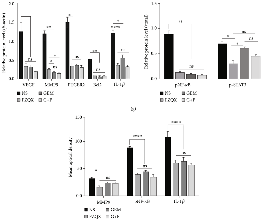 Fu Zheng Qu Xie Formula: A Clinical Study on Preventing Recurrence and Metastasis of Early-Stage Lung Adenocarcinoma