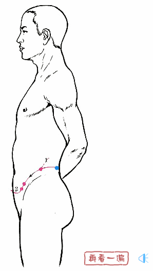Detailed Explanation of the Eight Extraordinary Meridians