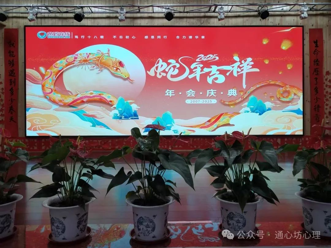 The Essence of the Five Elements in Traditional Chinese Medicine