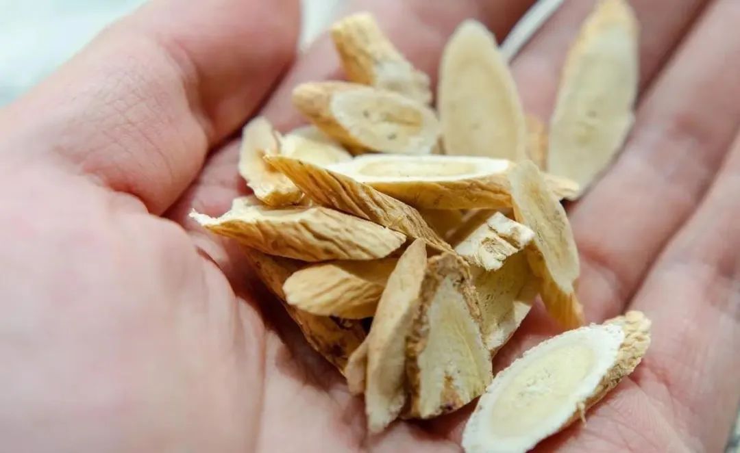 Astragalus: An Excellent Tonic with 5 Key Considerations in TCM That Many People Overlook