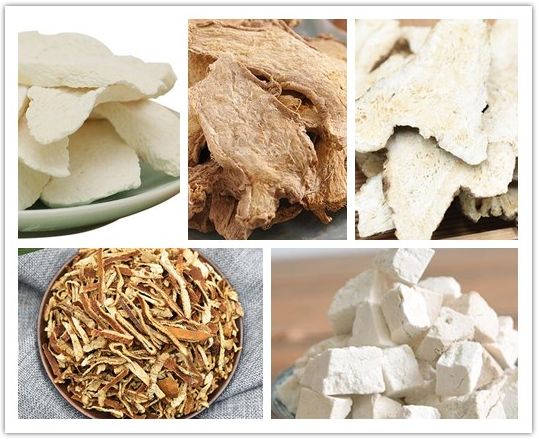 One Gram of Poria: A Powerful Tool for Promoting Diuresis, Reducing Edema, and Strengthening the Spleen, with 6 Poria Recipes