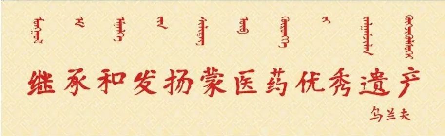 Commonly Used Mongolian Medicinal Material - Dan Shen (Salvia Miltiorrhiza)