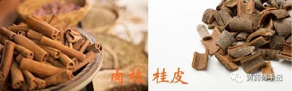 5 Commonly Confused Chinese Herbs: Is Dried Ginger Just Sun-Dried Fresh Ginger? Is Cinnamon the Same as Cassia?