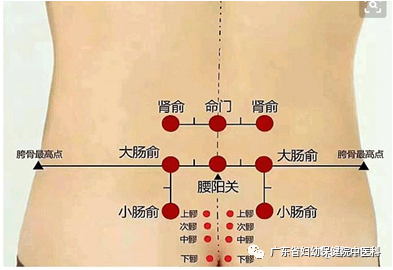 Warming Yang and Nourishing Kidney with Moxa Culture