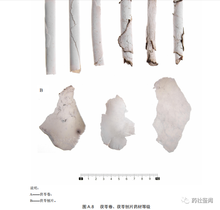 Poria (Fuling) - A Comprehensive Overview
