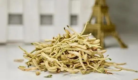 What Are the Benefits of Drinking Honeysuckle Tea? Key Points to Know to Avoid Misuse
