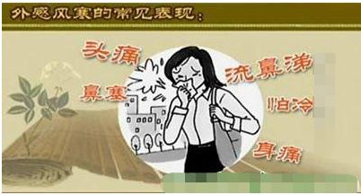 Understanding the Five Types of Colds in Traditional Chinese Medicine