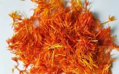 The Efficacy, Uses, and Contraindications of Safflower (Honghua)