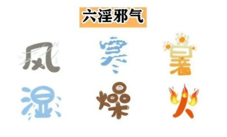 Understanding the Six External Pathogenic Factors in Traditional Chinese Medicine