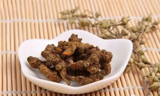 The Efficacy of Huang Lian (Coptis chinensis)