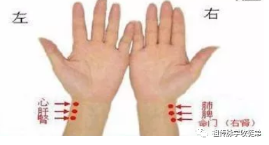 Understanding Pulse Diagnosis in Traditional Chinese Medicine (Recommended for Collection)
