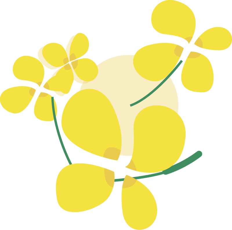 The Marvelous Nature | Spring Treasures of the Little Yellow Flower
