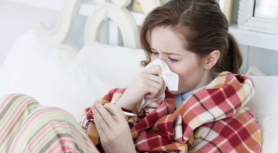 Warming Yang Formula: Four Herbs to Warm the Heart, Lungs, Spleen, Liver, and Kidneys, Sweeping Away Cold from the Five Organs
